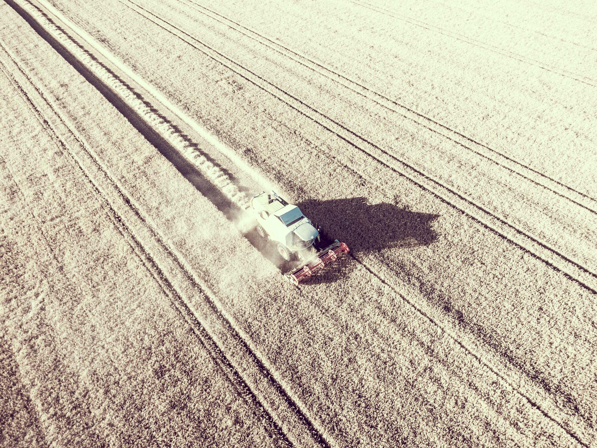 Drohnenaufnahme senkrecht von oben: Mähdrescher und Spuren im abgeernteten Feld